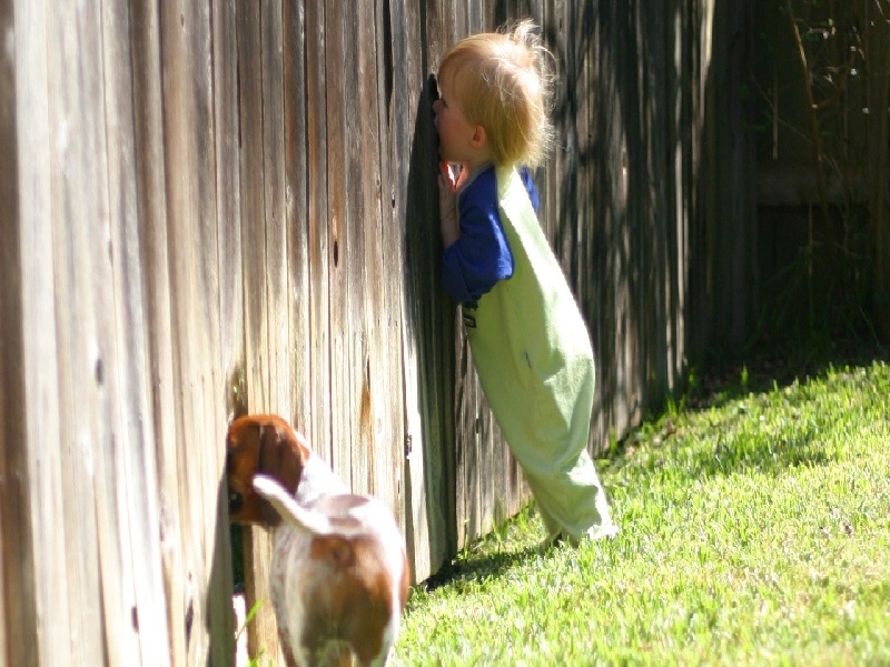 苏州最靠谱的代生,代生咨询：在苏州公立医院可